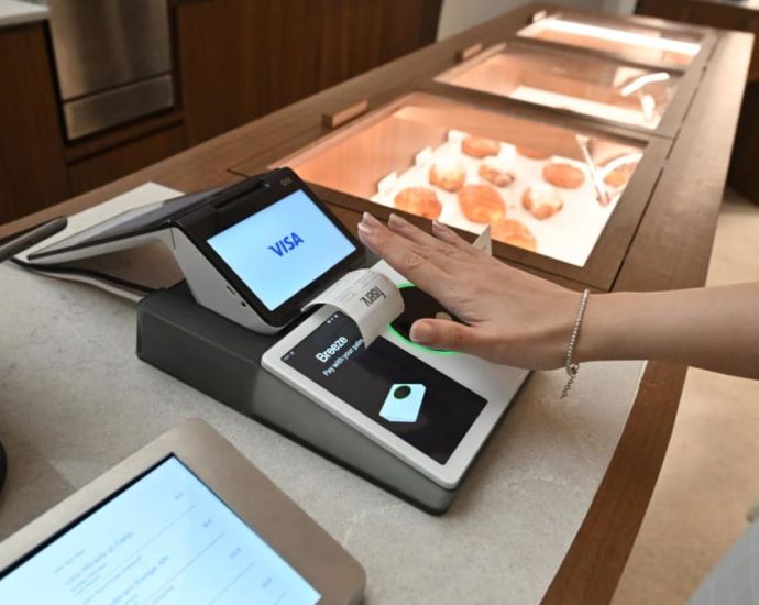 No wallet, no phone, no problem: How you could pay with just your palm in future