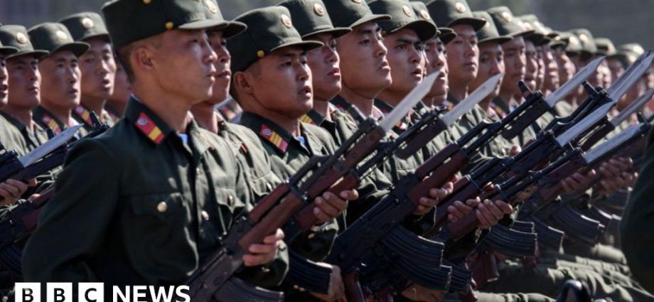 North Korean troops killed fighting Ukraine, says US