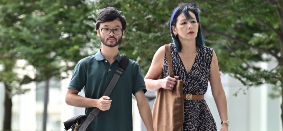 NUS student accused of deflating car tyres by inserting green bean into valve stems