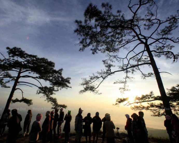 Phu Kradueng trails to reopen with new safety measures