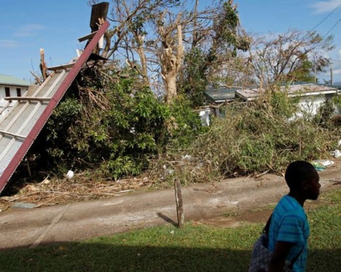 Rich countries, island states lock horns on climate change at UN court