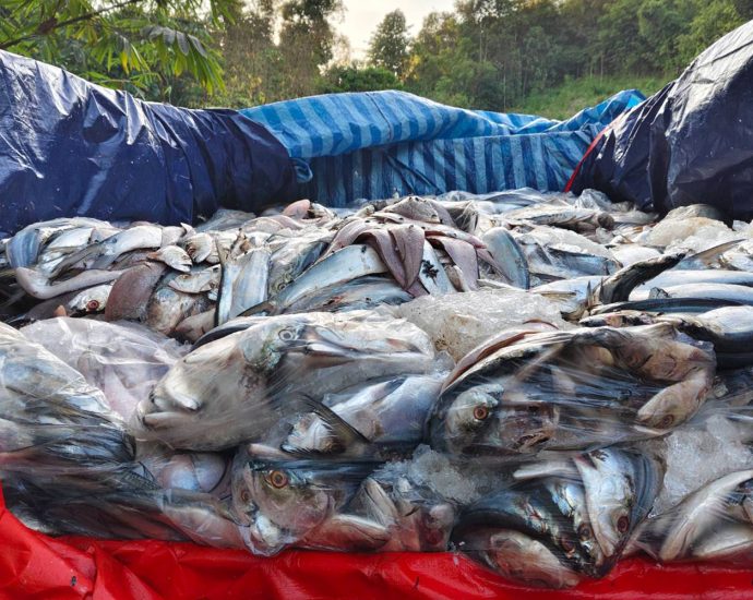 Two men arrested, over 4 tonnes of smuggled seafood seized