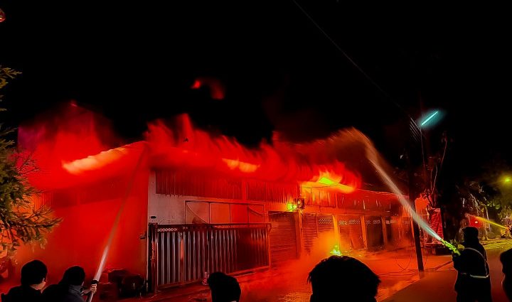 Animals perish in pet shop blaze