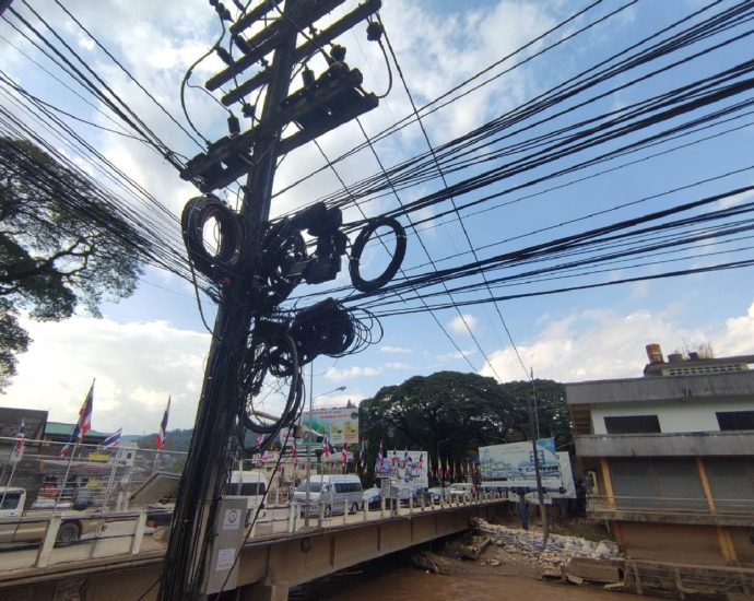 Anutin seeks clarity on Myanmar power cuts