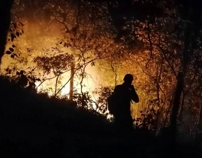 Army helps fight Rayong forest fires