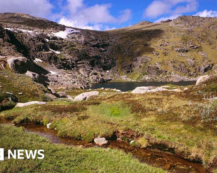 Australia: Missing hiker in Snowy Mountains found after 13 days