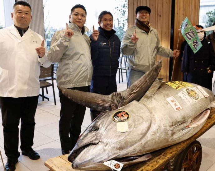 Buyer splashes out US.3 million for Tokyo new year tuna