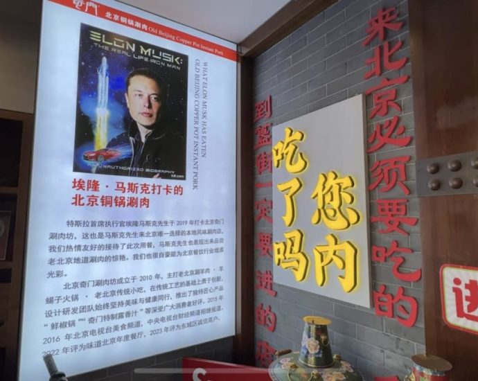 Chinese fans weigh in as Elon Musk set to join Trump’s new government