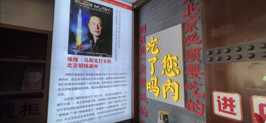 Chinese fans weigh in as Elon Musk set to join Trump’s new government