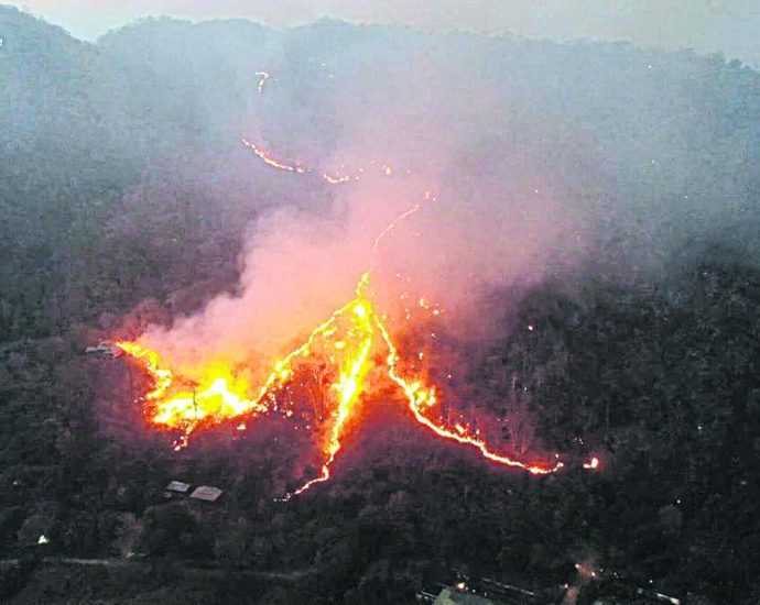 Forest fires burn 1k rai of Pak Chong