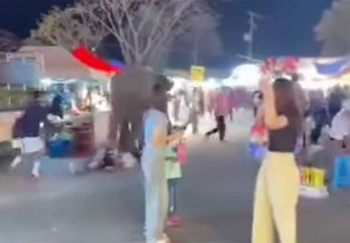 Frightened elephant tramples on fair visitors in NE Thailand