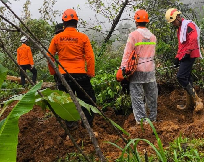 Indonesia rescuers search for survivors as landslide kills 19