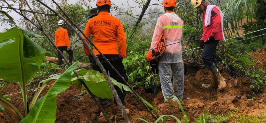 Indonesia rescuers search for survivors as landslide kills 19