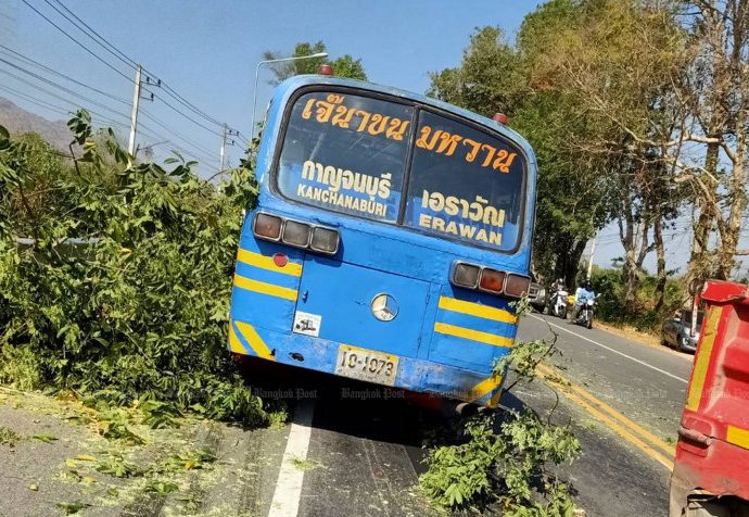 Nine hurt as illegally cut tree falls on bus