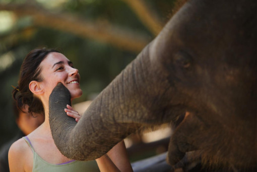 Spaniard’s death hits elephant camps