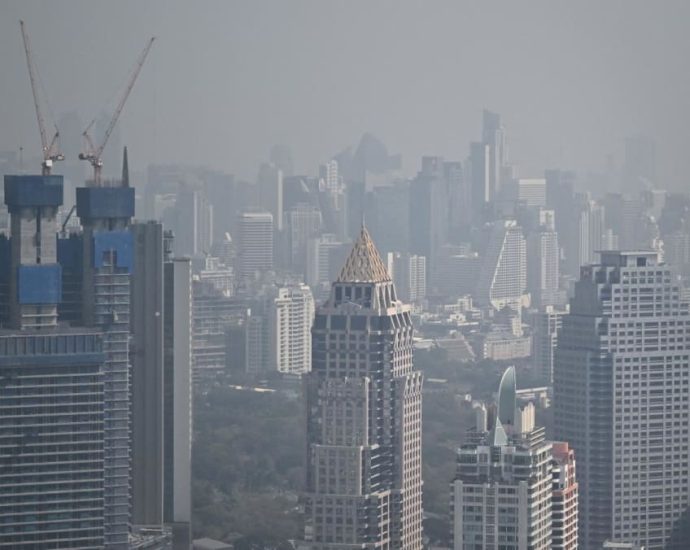 Thailand orders crop burning crackdown as pollution spikes