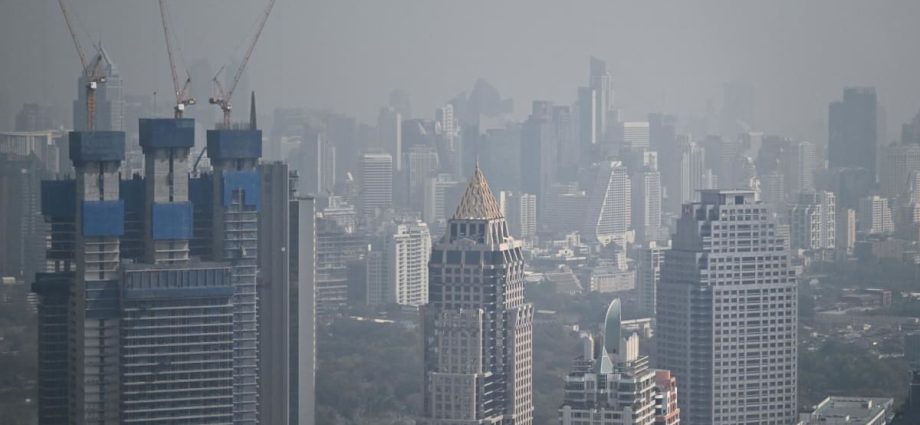 Thailand orders crop burning crackdown as pollution spikes