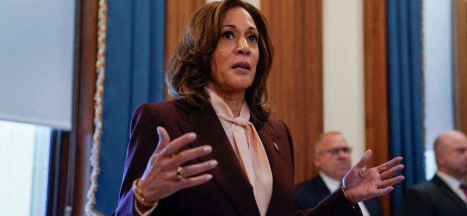 US VP Harris to travel to Singapore, Bahrain and Germany before leaving office