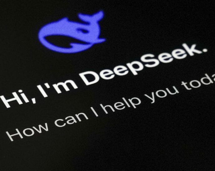 Chatbot vs national security? Why DeepSeek is raising concerns