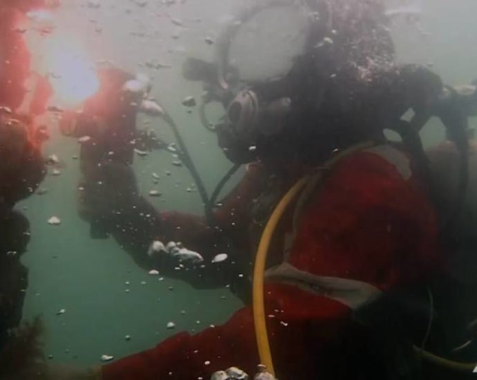 Commercial diving association calls for licensing system for firms following fatal incidents