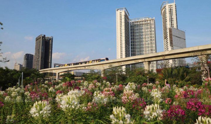 Foreigners warned over condo rentals