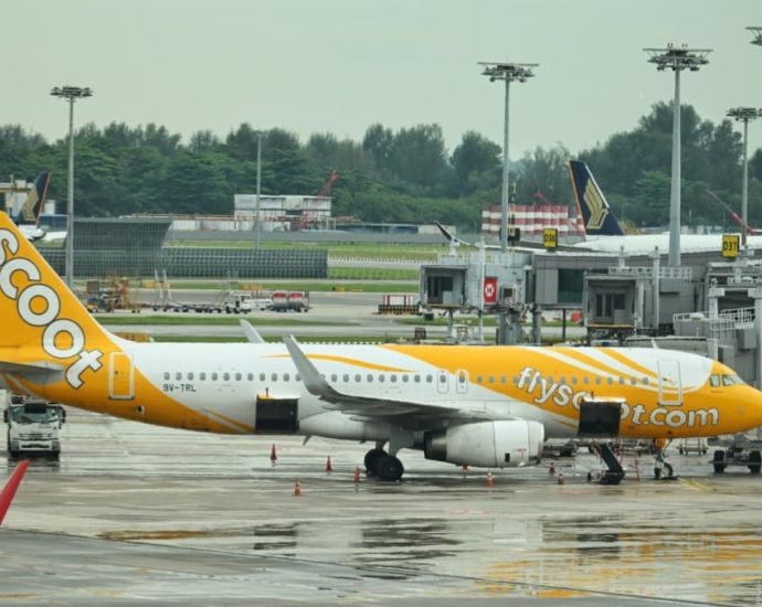 Man charged with stealing US5 from passenger on Scoot flight