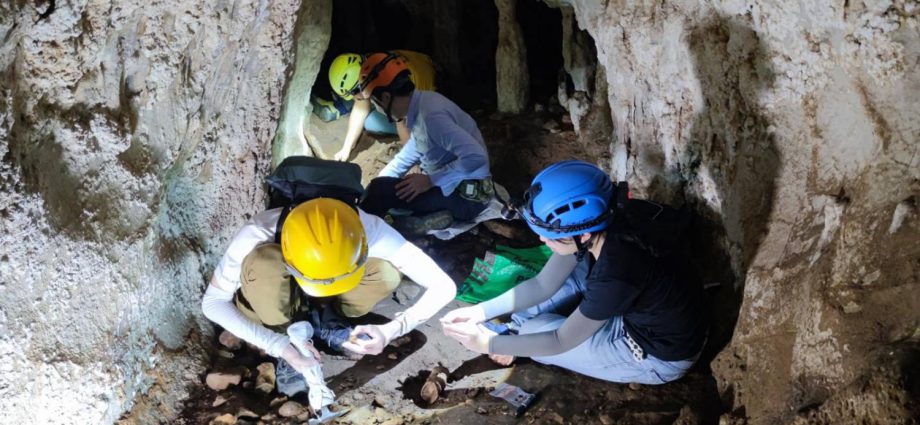 Researchers find ancient fossils in Krabi cave