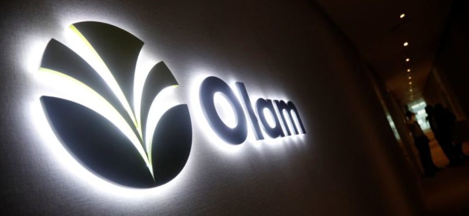 Singapore-listed Olam to sell 44.6% stake in agribusiness to Saudi Arabia for US.8 billion, shares jump