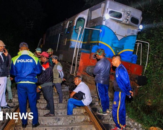 Six elephants dead after being struck by train in Sri Lanka