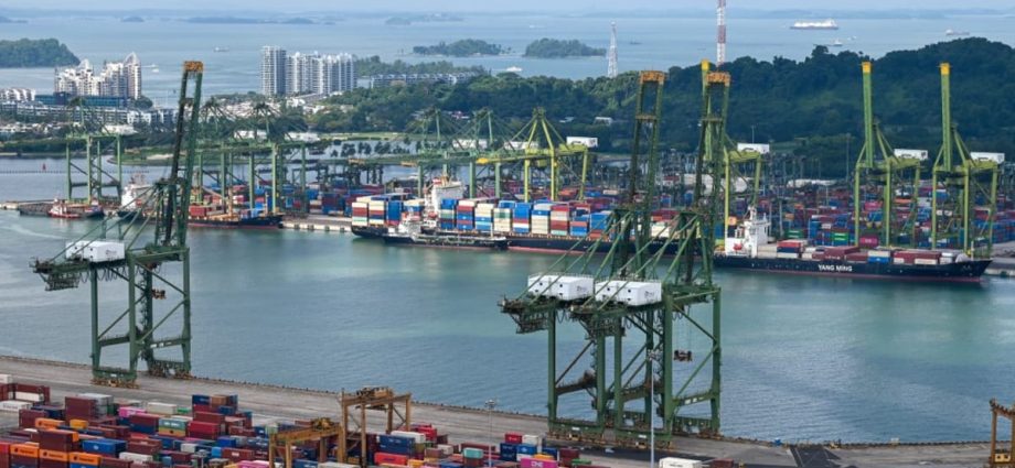 Slower growth, souring business sentiment: How Trump’s tariffs could hurt Singapore’s economy
