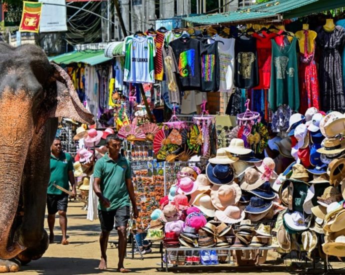 Sri Lanka reports massive tolls in human-elephant conflicts