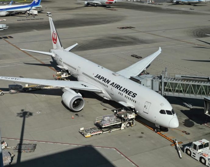Two ex-Japan Airlines pilots grounded after lying about drinking