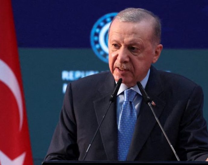 Erdogan, Trump discuss Ukraine, Syria, defence issues, Turkey says