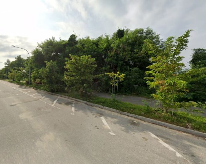 New funeral and columbarium complex may be built at Tanah Merah Coast Road