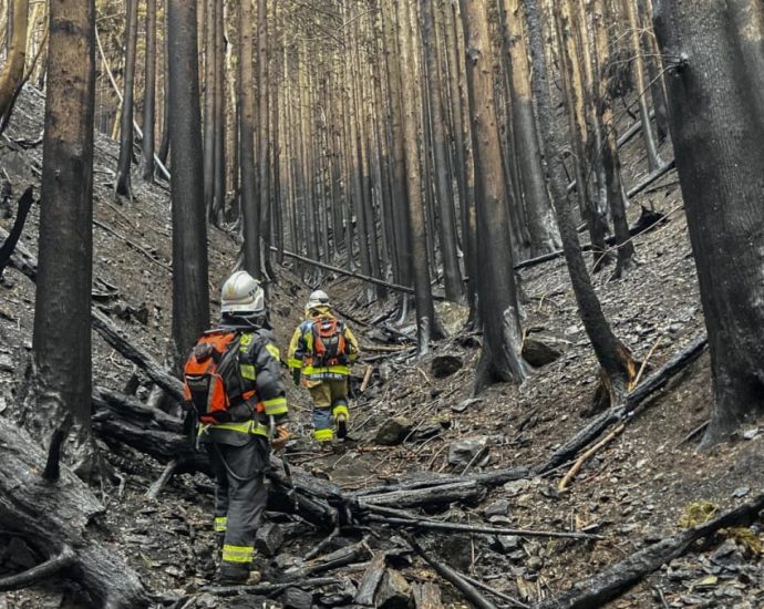 Rain checks spread of Japan wildfire