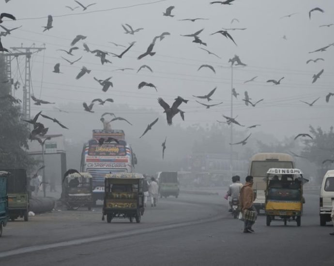 ‘Really suffocating’: Pakistan emerges from record smog season