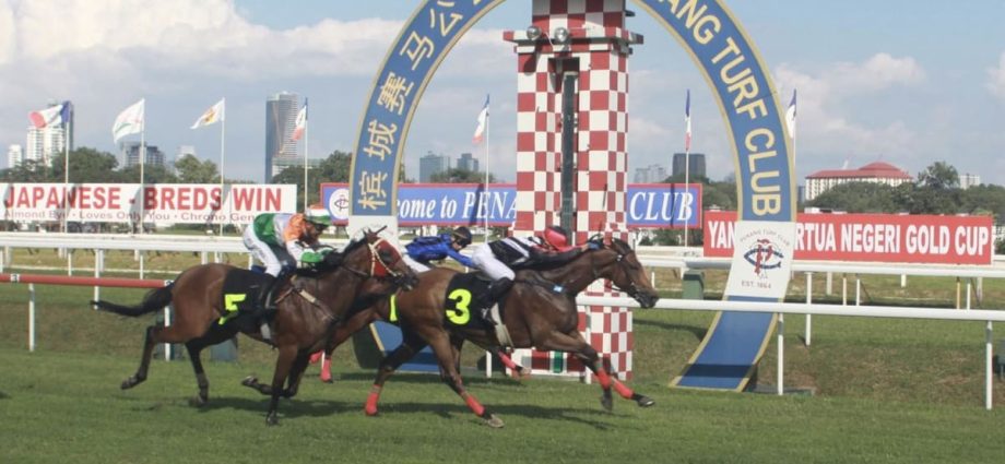 Malaysia’s oldest horse racing club to close, last race could be on May 31