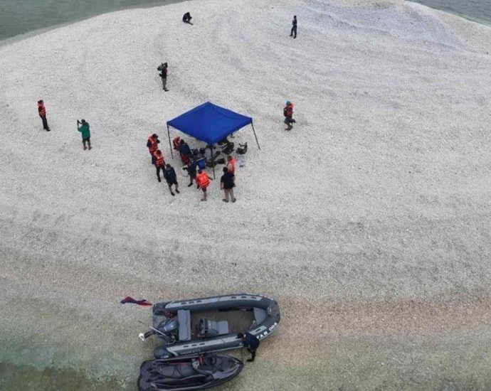 Philippines denies ‘irresponsible’ Chinese report on disputed reef
