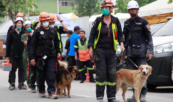 Search winds down as dog unit goes home