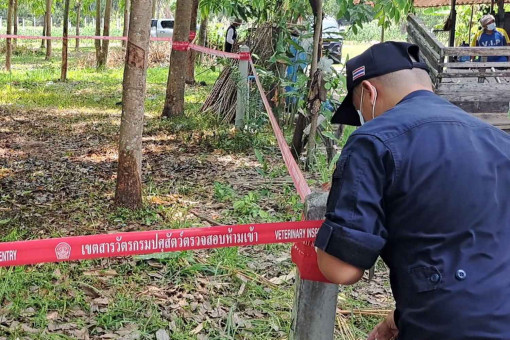 Anthrax death toll stays at 1 but 98 others still at risk in Thailand’s Northeast