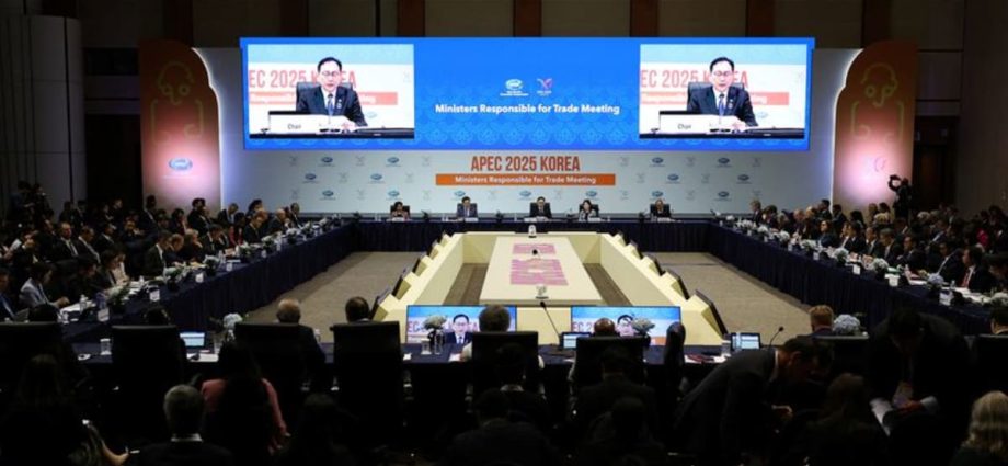 APEC ‘concerned’ over challenges to global trade