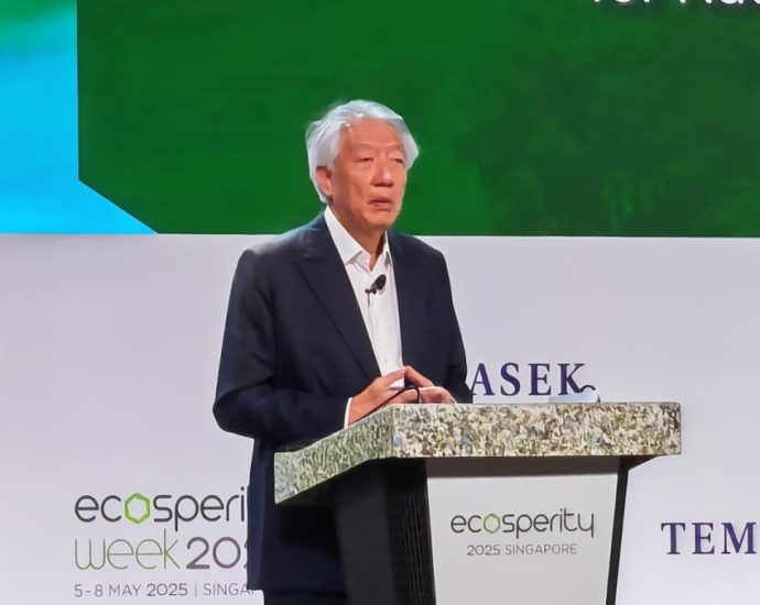 Asia integral to solve climate crisis, should collaborate for a low-carbon future: Teo Chee Hean