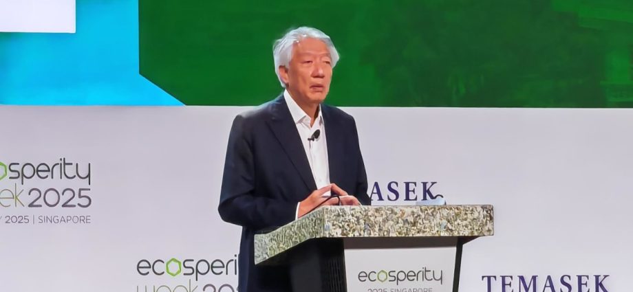 Asia integral to solve climate crisis, should collaborate for a low-carbon future: Teo Chee Hean