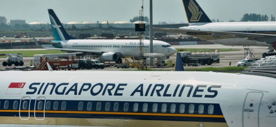 Asian airlines including SIA re-route flights due to India-Pakistan fighting