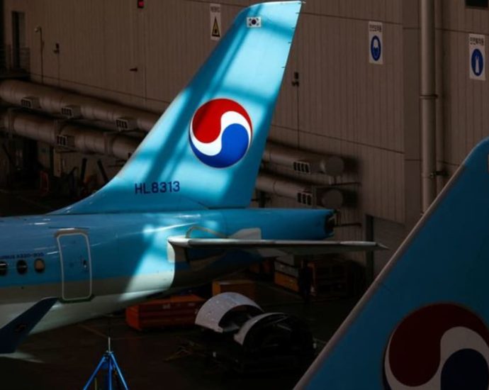 Asian airlines re-route, cancel flights due to India-Pakistan fighting