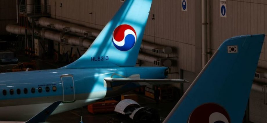 Asian airlines re-route, cancel flights due to India-Pakistan fighting
