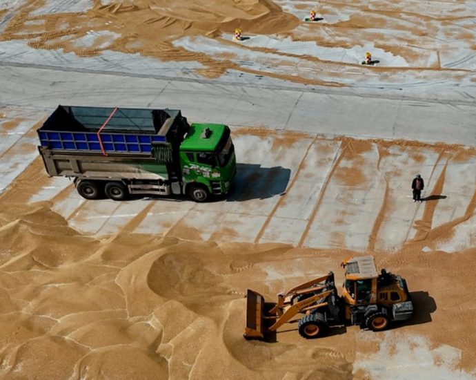China issues weather alert as high temperature threatens wheat quality