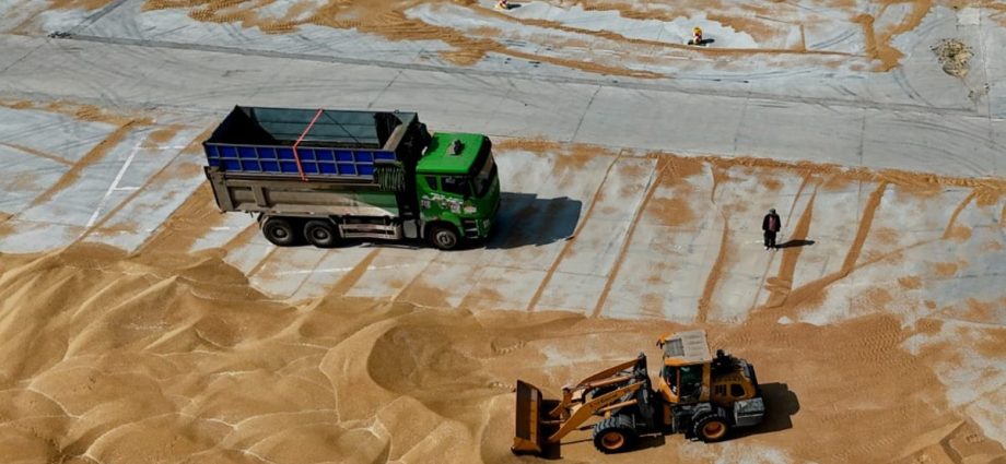 China issues weather alert as high temperature threatens wheat quality