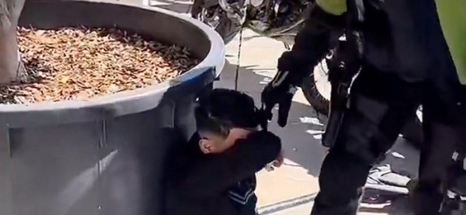 Chinese man subdues thief in Spain, highlights trend of mainlanders tackling criminals abroad