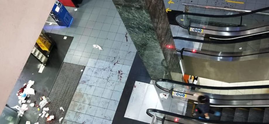 Court dismisses appeal by murderer in Orchard Towers fight